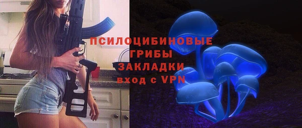 индика Белокуриха