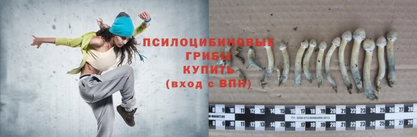 индика Белокуриха