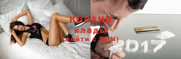 индика Белокуриха
