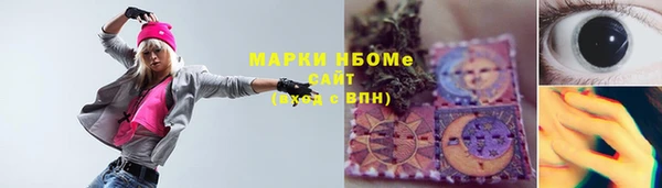 гашиш Богданович