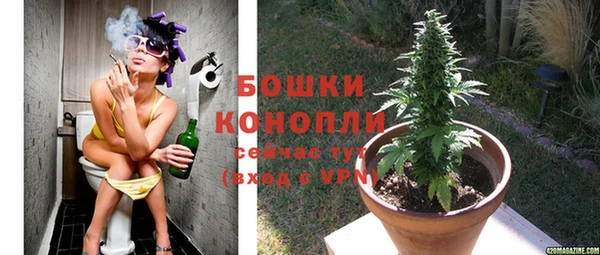 индика Белокуриха