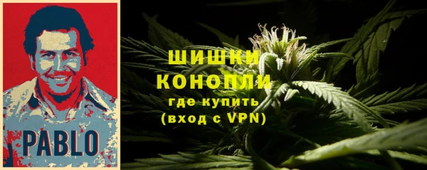гашиш Богданович