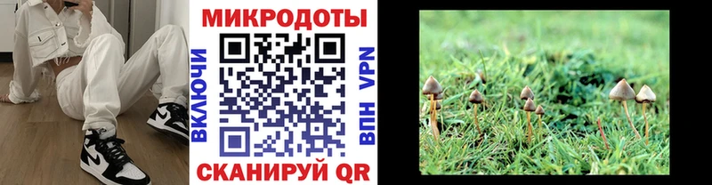 Псилоцибиновые грибы ЛСД  Чухлома 